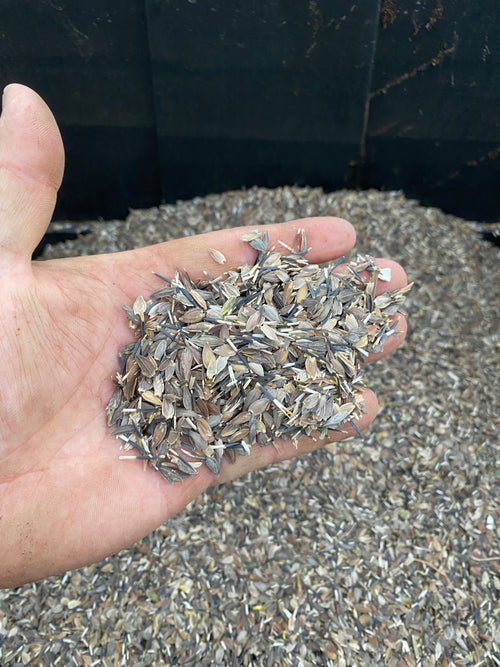 Dry Bottom Farms & Nursery Zinnia Seed