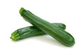 Summer Squash - Zucchini