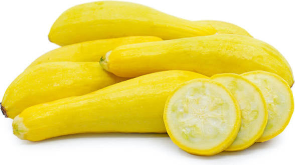 Summer Squash - Straightneck Yellow