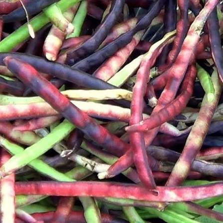 Pinkeye Purple Hull Peas - 1 lb