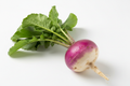 Purple Top Turnip